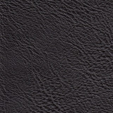 Inventory Color 15CQ