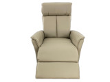 Bergen Power Recliner